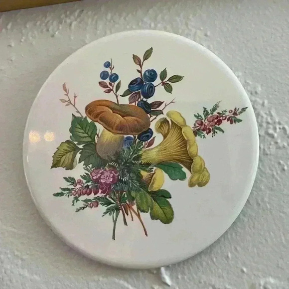 VINTAGE H&R JOHNSON 6" Mushroom  COLLECTIBLE ROUND TILE Hyalyn Trivet - Picture 4 of 4